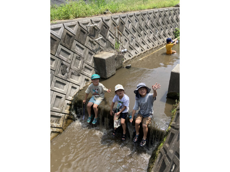 048D8A46-0D1D-4540-B4D9-7D31A4D57381