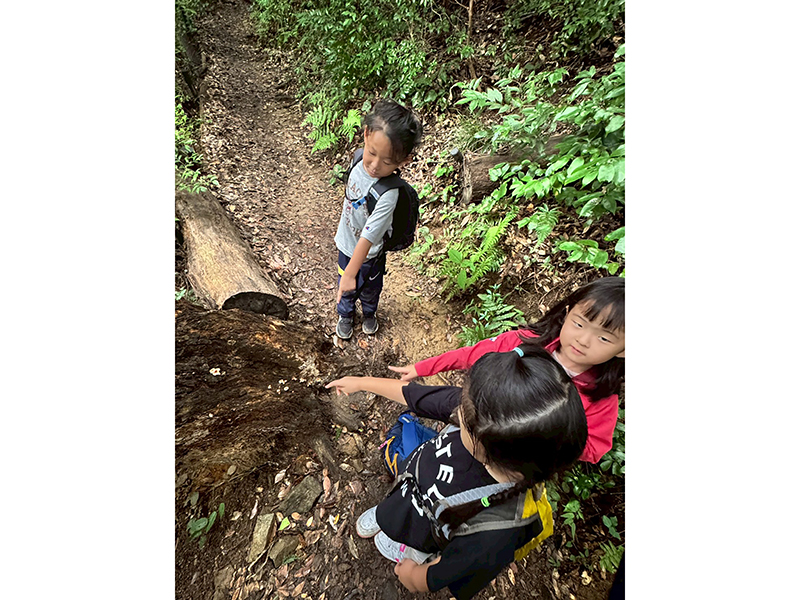 LINE_ALBUM_20251005_251006_20