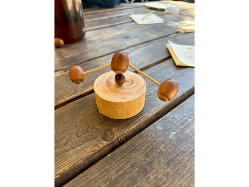 LINE_ALBUM_20260117_260118_140